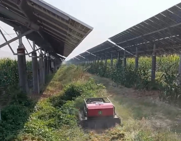 农光互补电站除草机器人