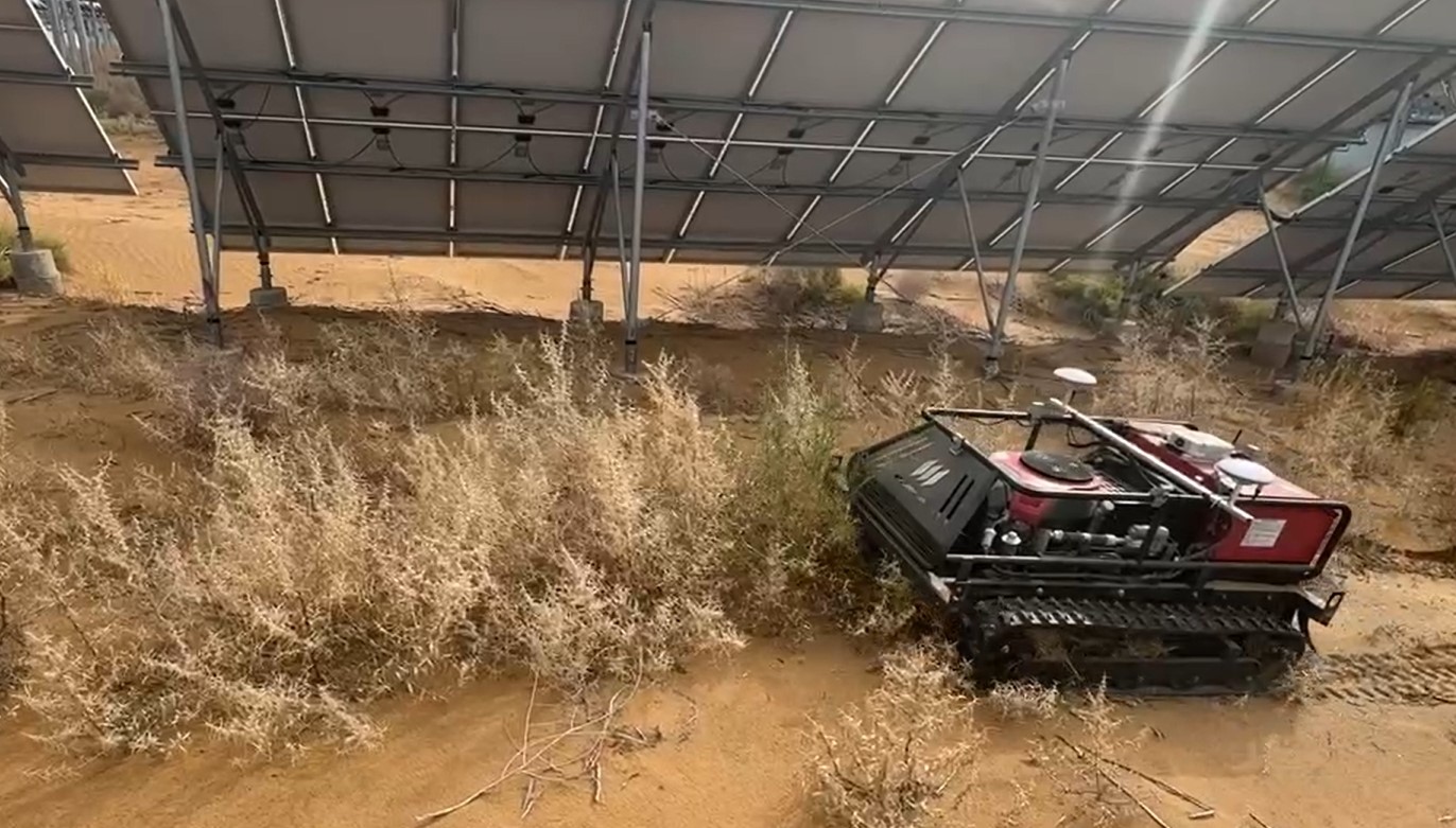 沙戈荒光伏除草