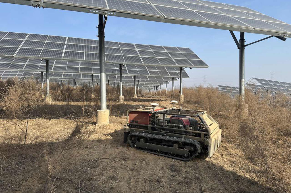 飒沓光伏电站除草作业