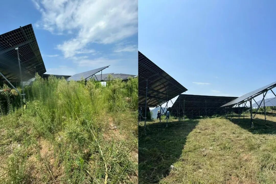 飒沓机器人在华能河南清洁能源有限公司开展现场演示